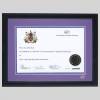 Association of Tax Technicians certificate frame - Contemporary Matt Black