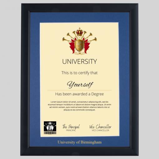 University of Birmingham A4 graduation certificate Frame in Contemporary
