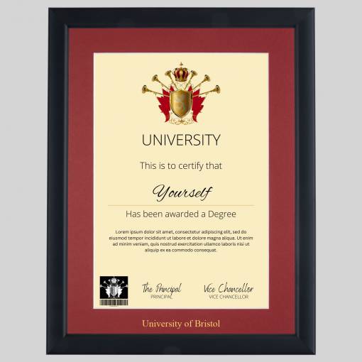 University of Bristol A4 graduation certificate Frame in Contemporary