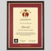 University of Bristol A4 graduation certificate Frame in Teak and Gold