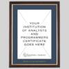 Institution of Analysts and Programmers certificate frame