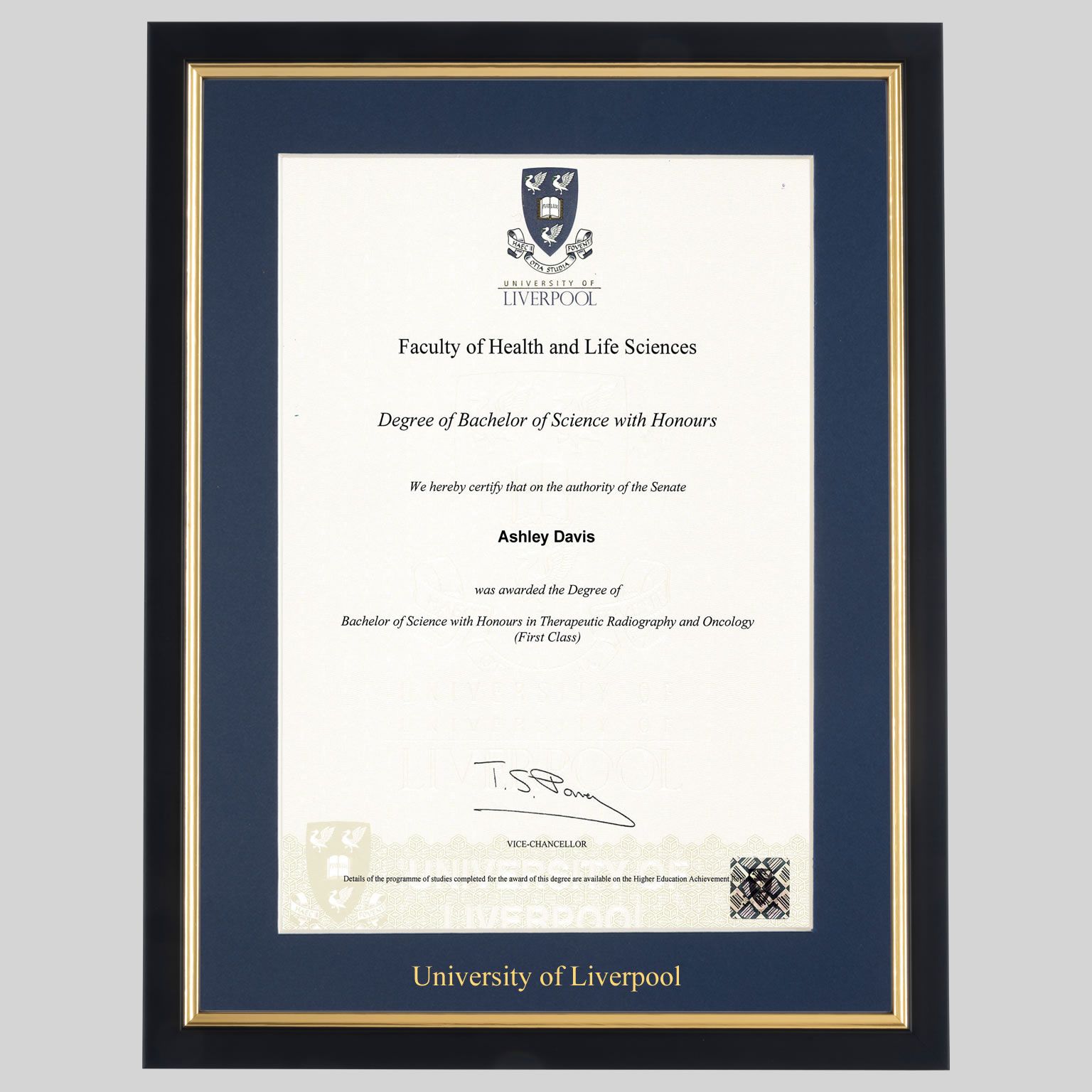 liver-bg-real-1536x1536