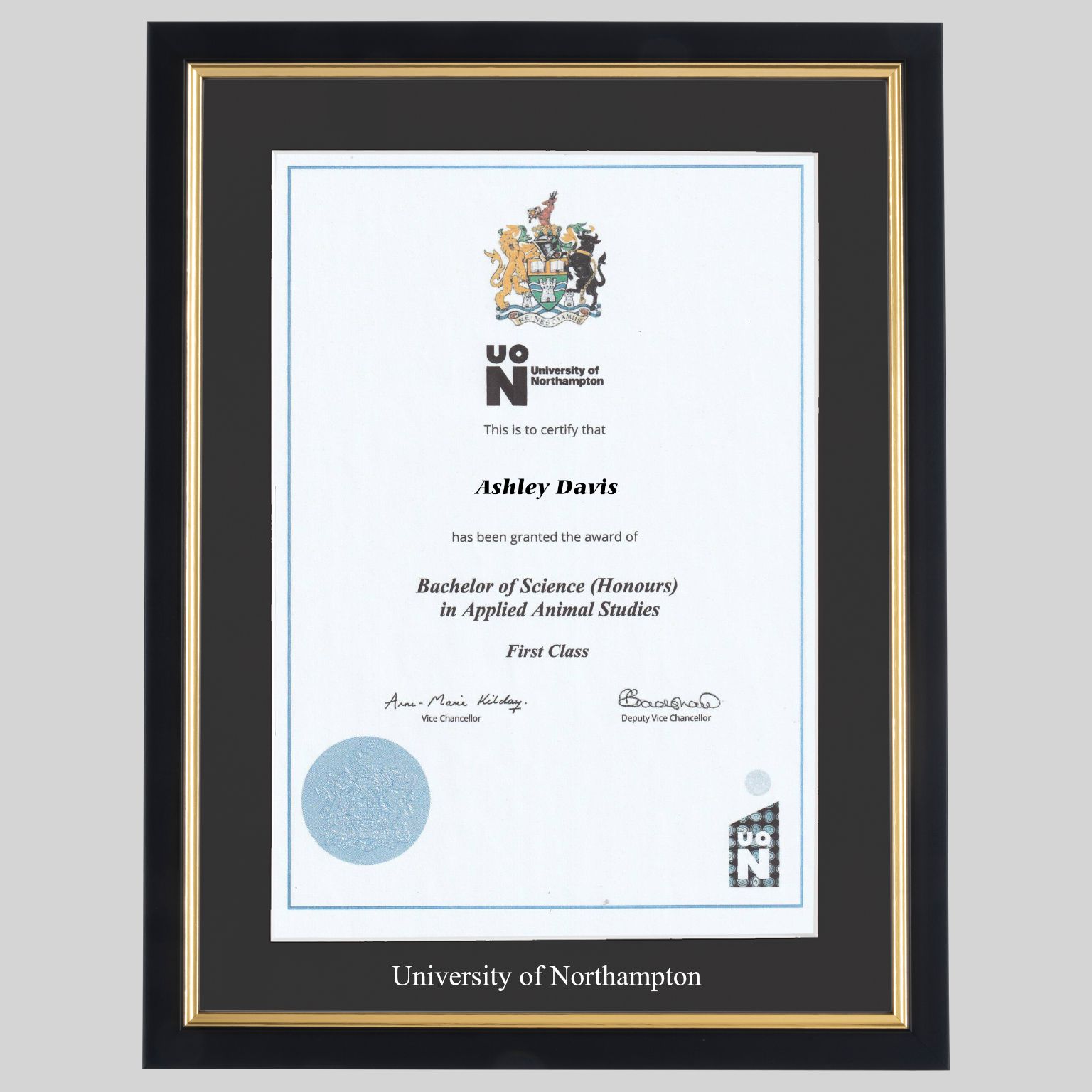 nhampton-bg-real-1536x1536