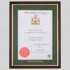 Institute of Physics certificate frame - Traditional Teak and Gold
