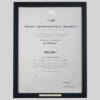 Royal Aeronautical Society - Fellow certificate frame - Contemporary