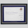 Royal Society of Chemistry-Chartered certificate frame