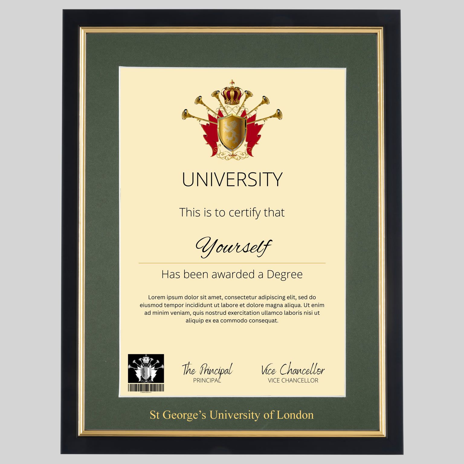 stgeorge-bg-1536x1536 St George’s University of London Black and Gold frame