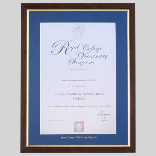 Royal College of Veterinary Surgeons certificate frame - Traditional Teak and Gold
