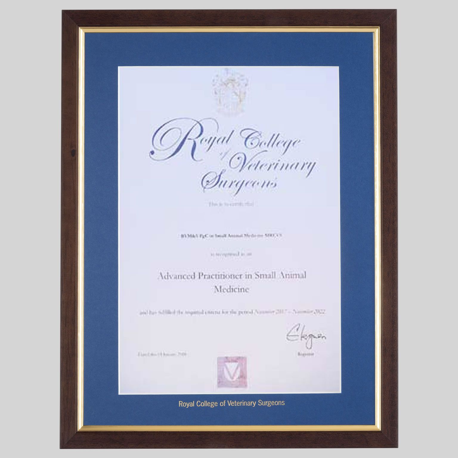 vets-tg-1536x1536 Royal College of Veterinary Surgeons certificate frame - Traditional Teak and Gold