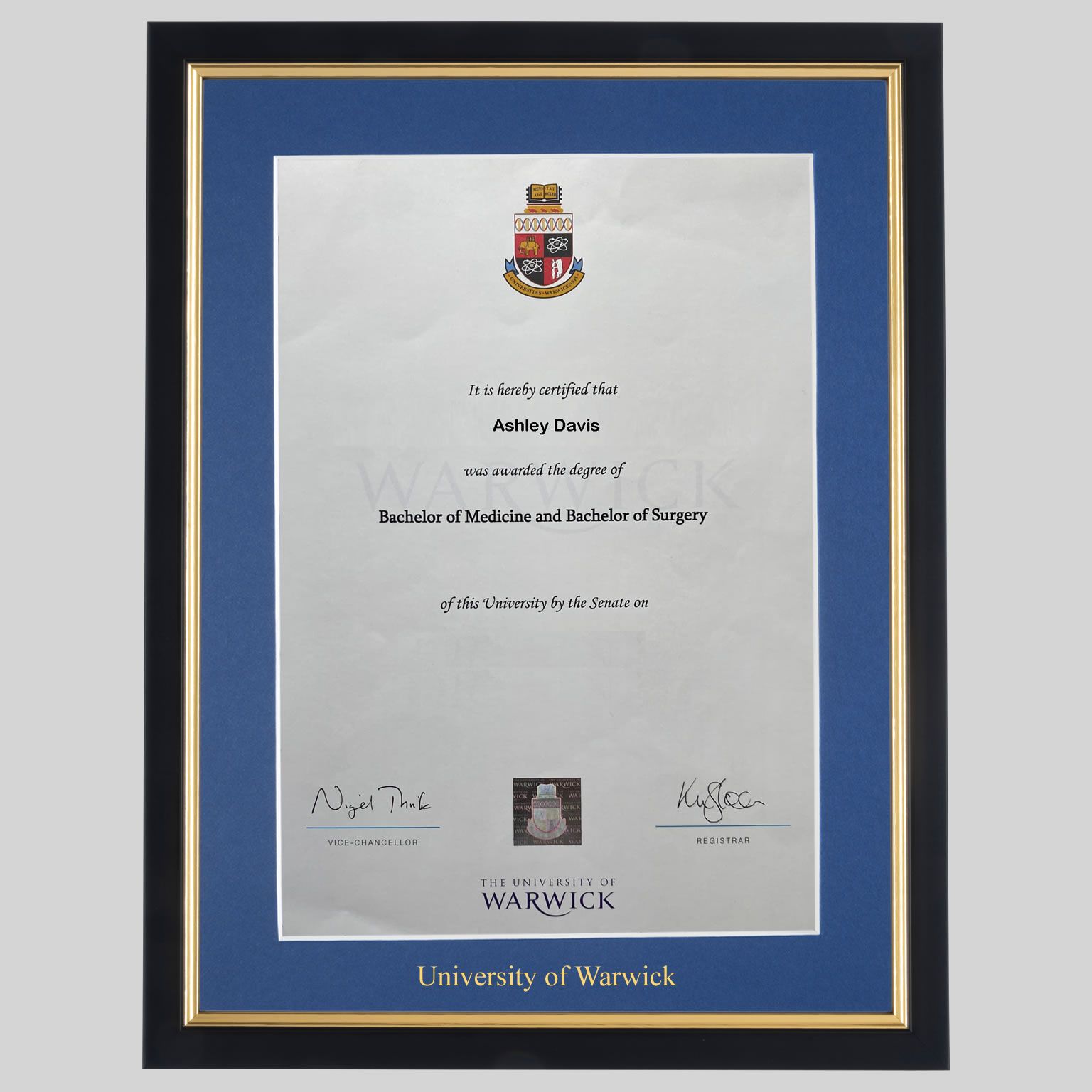 warwick-bg-real-1536x1536