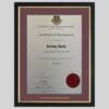 Chartered Accountants Ireland certificate frame
